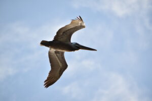 Sacramento Photography