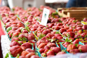 Sacramento Photography