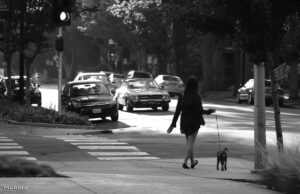 California Photography